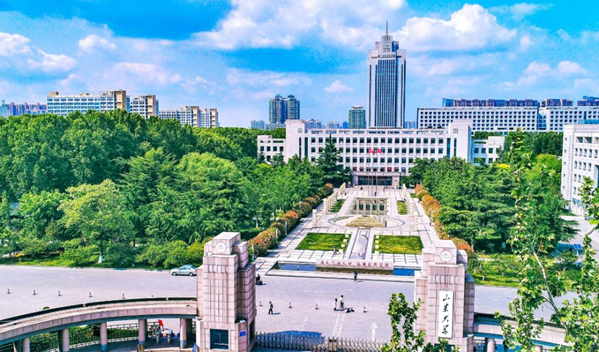 山东大学